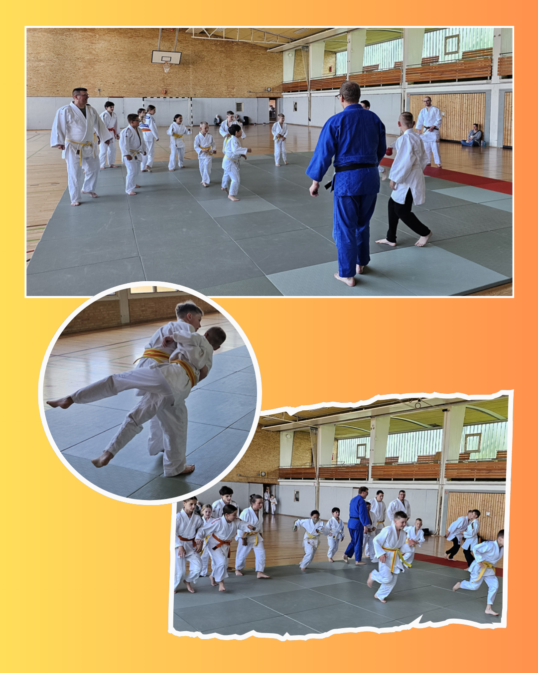 📢🥋 Gemeinsames Training mit dem TSJC Eutin (Ahrensbök – 09.05.2025) 🥋📢